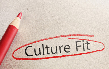 Culture Fit Hiring Concept