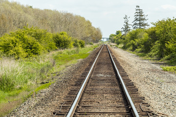 a railroad tracking lead to the far side with green trees and bushes on both sides under overcast sky