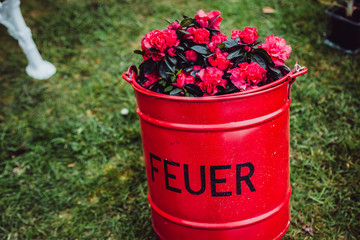 red bucket of flowers