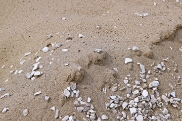 Sand and rubble.Materials for construction.