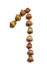Autumn numbers. Digit 1 is laid out of acorns