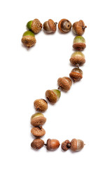 Autumn numbers. Figure 2 is laid out of acorns