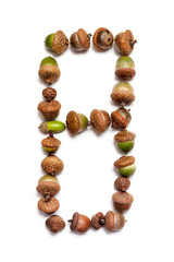 Autumn numbers. Figure 8 is laid out of acorns