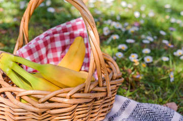 Obraz premium Basket with picnic food in the park. Green grass with flowers and lunch outdoors.