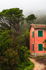 Hiking trail between Monterosso and Levanto in Cinque Terre, Italy, passing through trees and the front of a traditional Italian house with green window wooden shutters, on a misty morning.