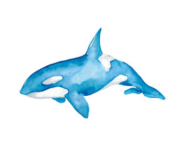 Whales Sea Animals Dolphin Narwhal Killer Whale Beluga Ocean Blue Watercolor Hand Drawn Illustration Isolated © aksinyalady
