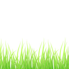 Fresh green grass illustration set