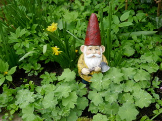 Garden gnome with red hat and an ax in hand stands  between green plants. (This sculpture has no...