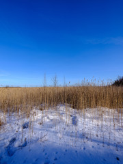 snow covered fields in countryside