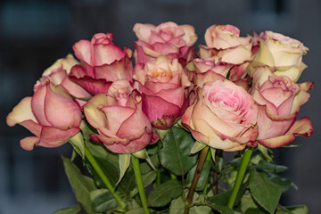 flowers, bouquet, pink, roses, buds, petals, beauty, tenderness
