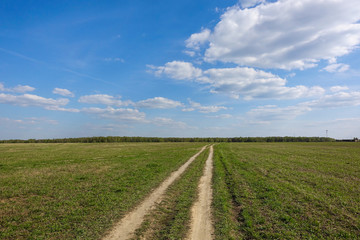 Fototapeta na wymiar Green field with country road, and blue sky with clouds. Beautiful rural landscape