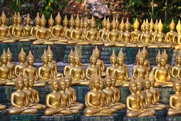 Fototapeta premium Vientiane Province: 02 May 2019, Buddha statue in Wat Sinxayyaram, the Buddhism garden, Laos