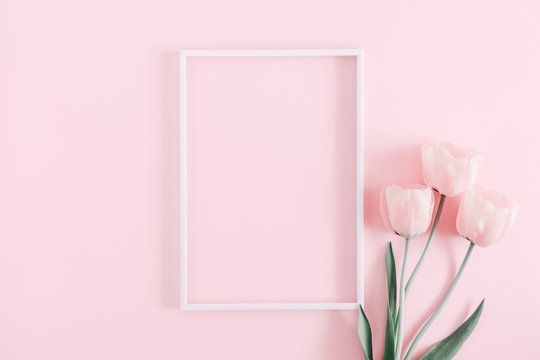 Beautiful composition spring flowers. Blank frame for text, pink tulips flowers on pastel pink background. Valentine's Day, Easter, Birthday, Happy Women's Day. Flat lay, top view, copy space 