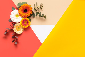 Happy Mother's Day, Women's Day, Valentine's Day or Birthday Living Coral Pantone Color Background. Coral flat lay greeting card template with beautiful gerbera flowers.