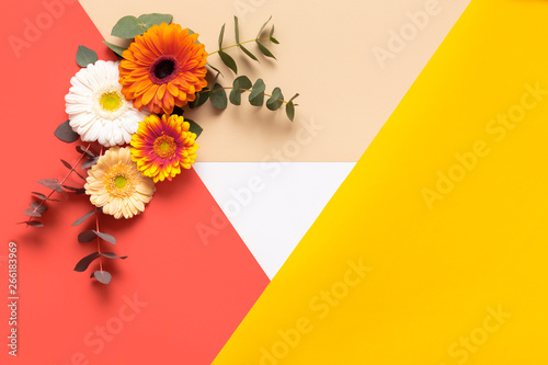 Happy Mother's Day, Women's Day, Valentine's Day or Birthday Living Coral Pantone Color Background. Coral flat lay greeting card template with beautiful gerbera flowers.