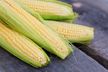 Fresh corn