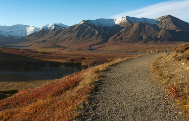 Gravel hiking trail bends off to the right away from a gravel river bed snaking across the valley below the Eielson visitor center in Denali National Park and Preserve - 266185372