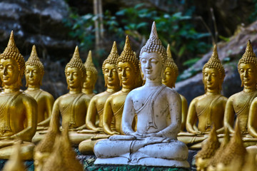 Obraz premium Vientiane Province: 02 May 2019, Buddha statue in Wat Sinxayyaram, the Buddhism garden, Laos