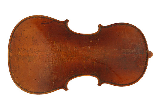 Violine back body plate 