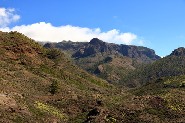 Fototapeta na wymiar The green valley Barranco de Mogan on Gran Canaria