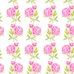 Garden peony. Seamless, hand-painted, watercolor pattern. Vector background