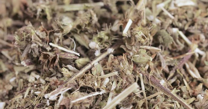 Motherwort grass in bulk