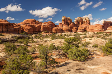 Fototapeta premium Spectacular landscapes of Canyonlands National park, needles in the sky, in Utah, USA