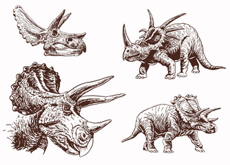 Graphical vintage set of triceratops ,vector illustration, anthropology © Алексей Воробьёв