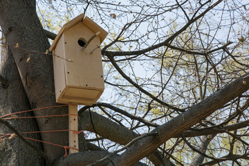 Shed for birds on trees. Wooden birdhouse on the tree.