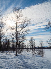 Park around Prestvannet lake in winter, Tromso Norway
