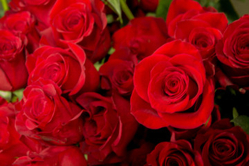 bouquet of red roses