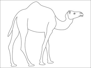 Black and white cute cartoon camel. Coloring book for the children.