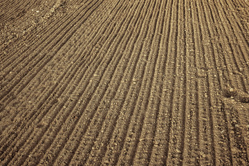 fresh agricultural plowed field