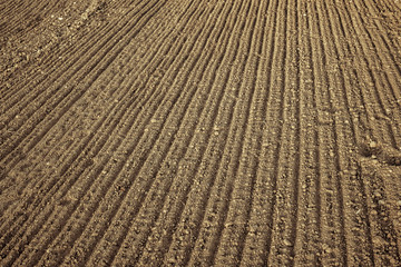 Fototapeta premium fresh agricultural plowed field
