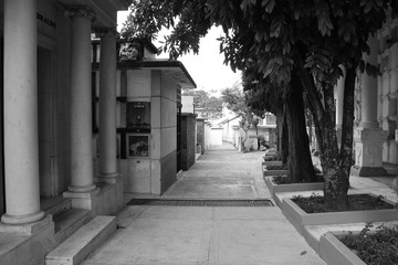 Museo Cementerio San Pedro