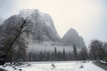A foggy winter day in Yosemite Valley