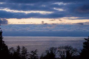 Sky and sea in blue after sunset, framed by silhouettes of trees