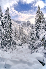 A snow covered Yosemite Creek