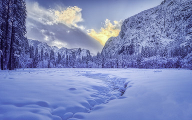 A snowy meadow sunset in Yosemite Valley
