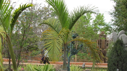 Fototapeta premium palm tree on beach