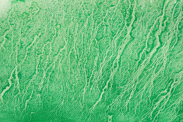 green watercolor  painted on paper background texture