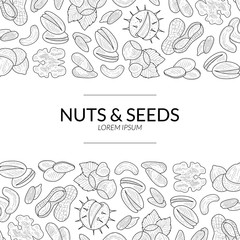 Nuts and Seeds Banner Template, Natural Tasty and Healthy Organic Food Hand Vector Illustration
