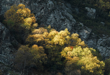 Fototapeta premium Naturaleza y paisajes de la provincia de León