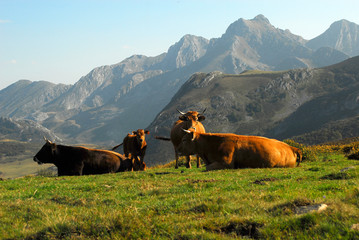 Naturaleza y paisajes de la provincia de Le&oacute;n