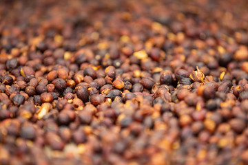 Macro of Raw Coffee Beans Drying In Crate