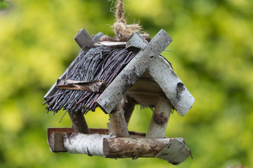 Birdhouse made of birch