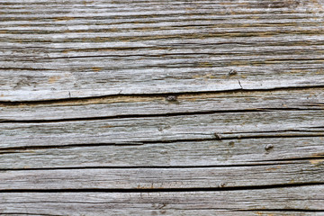 Fototapeta premium Wood texture