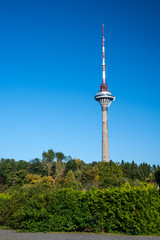 Fototapeta premium Tallinn television tower from botanical garden