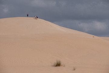 People at the top of the dunes at the Alexandria coastal dune fields near Addo / Colchester on the Sunshine Coast in South Africa. 