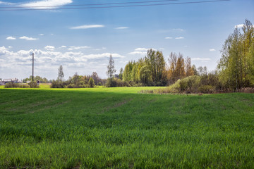 Electricity pole in a green spring field under blue cloudy sky